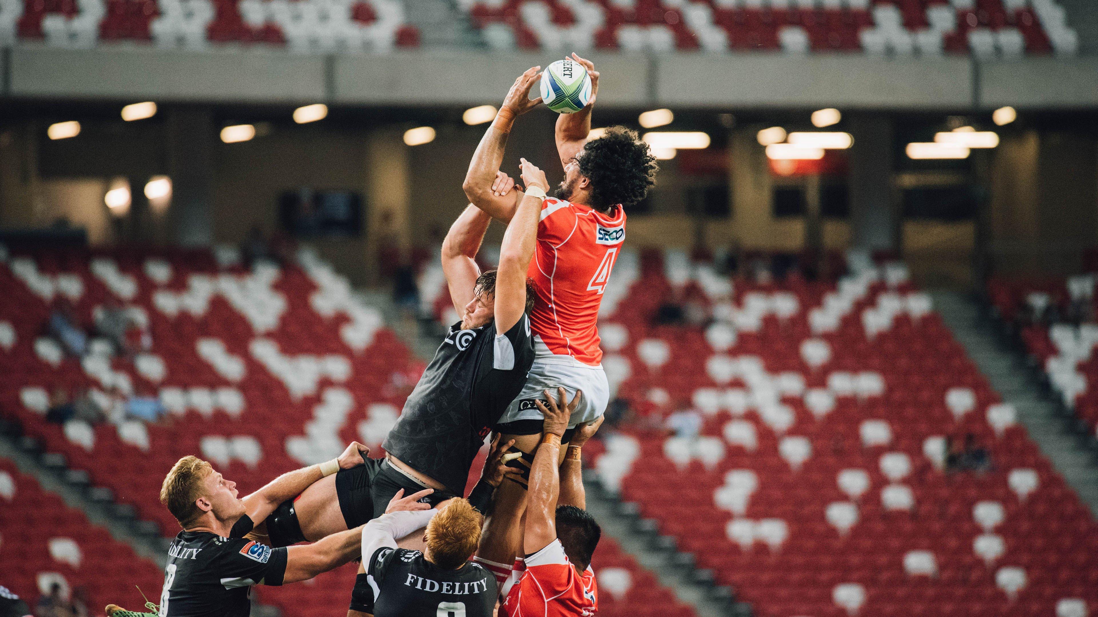 德甲焦点战前瞻，法兰克福主场硬撼霍芬海姆，欧冠席位与欧战资格的直接对决